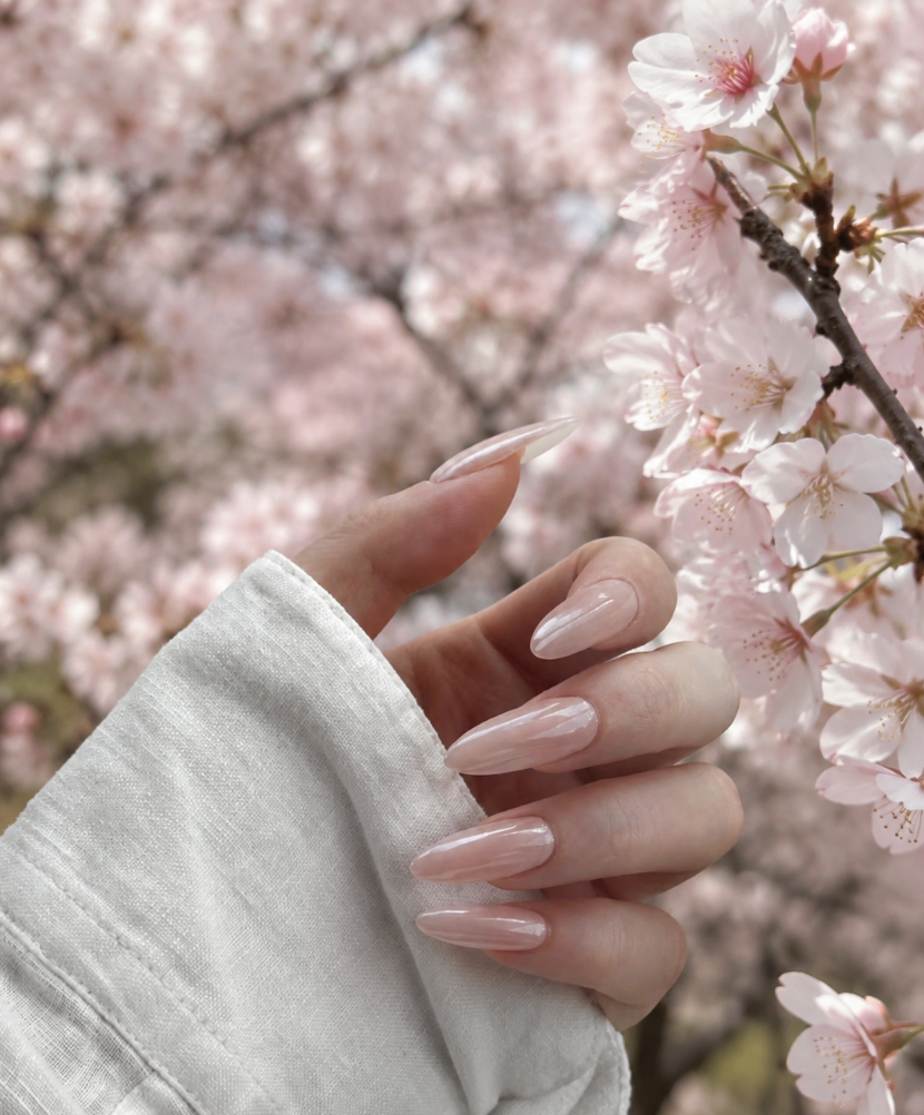 Soft pink almond nails against cherry blossoms